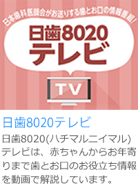 日歯8020テレビ